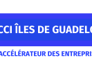 Édito de la CCI des Iles de Guadeloupe